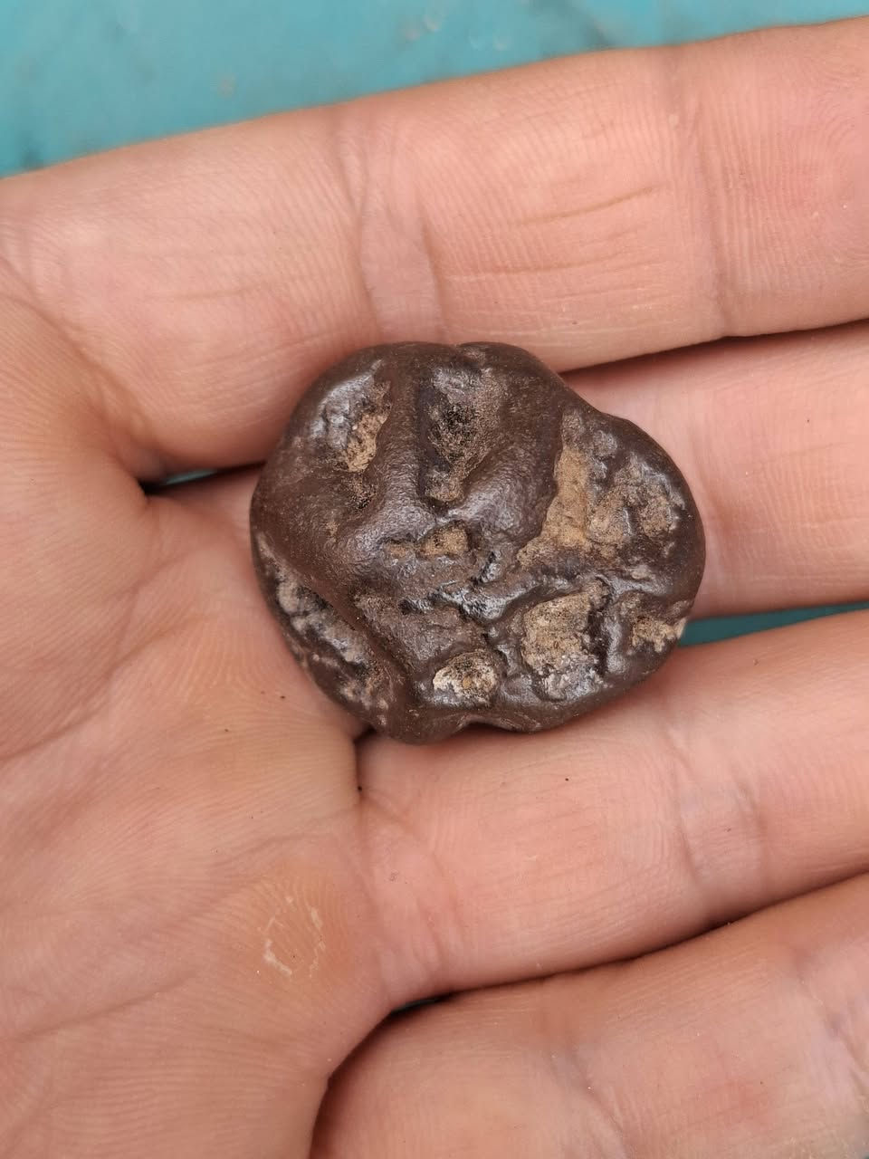 قطعتين هبهاب تصور واضح 
مروس بخواتم


**إذا كنت صاحب هذا الإعلان وتريد حذفه لأي سبب، رجاءا أرسل رسالة إلى الدعم الفني**