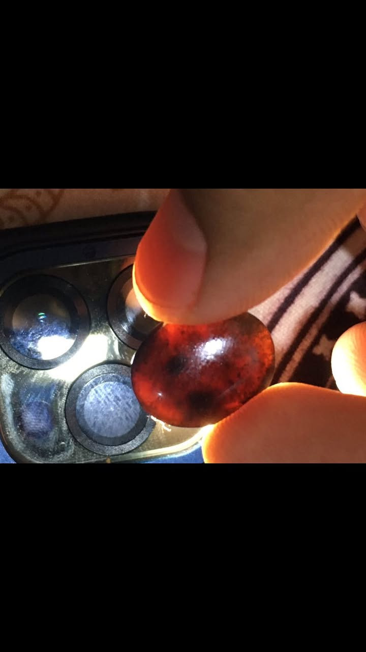 فص يماني شفه ١٠٠ دولار قديم جدا


**إذا كنت صاحب هذا الإعلان وتريد حذفه لأي سبب، رجاءا أرسل رسالة إلى الدعم الفني**