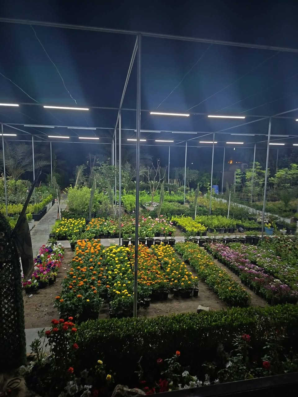 مشتل الزعفران يوجد لدينا جميع انواع الشتلات وألضلي والثيل الهندي درجة اولئ وتصميم الحدائق والمنتزهات العامه العنوان الزعفرانيه نهايه شارع المعهد عل سده قبل أسواق تفاحه *********** رضا الشمري
*********** ماجد ابو رضا
