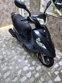 ثعلب • ١٤٠ • فول