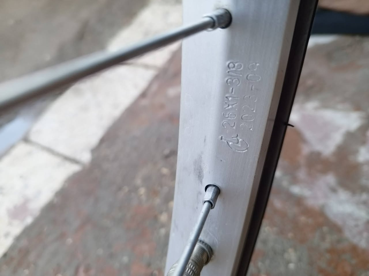 السلام عليكم بايسكل بناتي موديل ٢٠٢٣ اشتريته اول منزل بايسكل فول تأخذه هوه وغراضه البي + جاملغات ودروعه ودسك خلفي جديد البايسكل جاهز  مكاني بغداد رقمي *********** بي واتساب  السعر ١٢٠ وبي مجال ( قابل للمراوس ببايسكل نفس النظافه )
