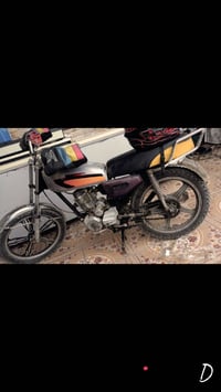 ستوته • شغاله • البصره