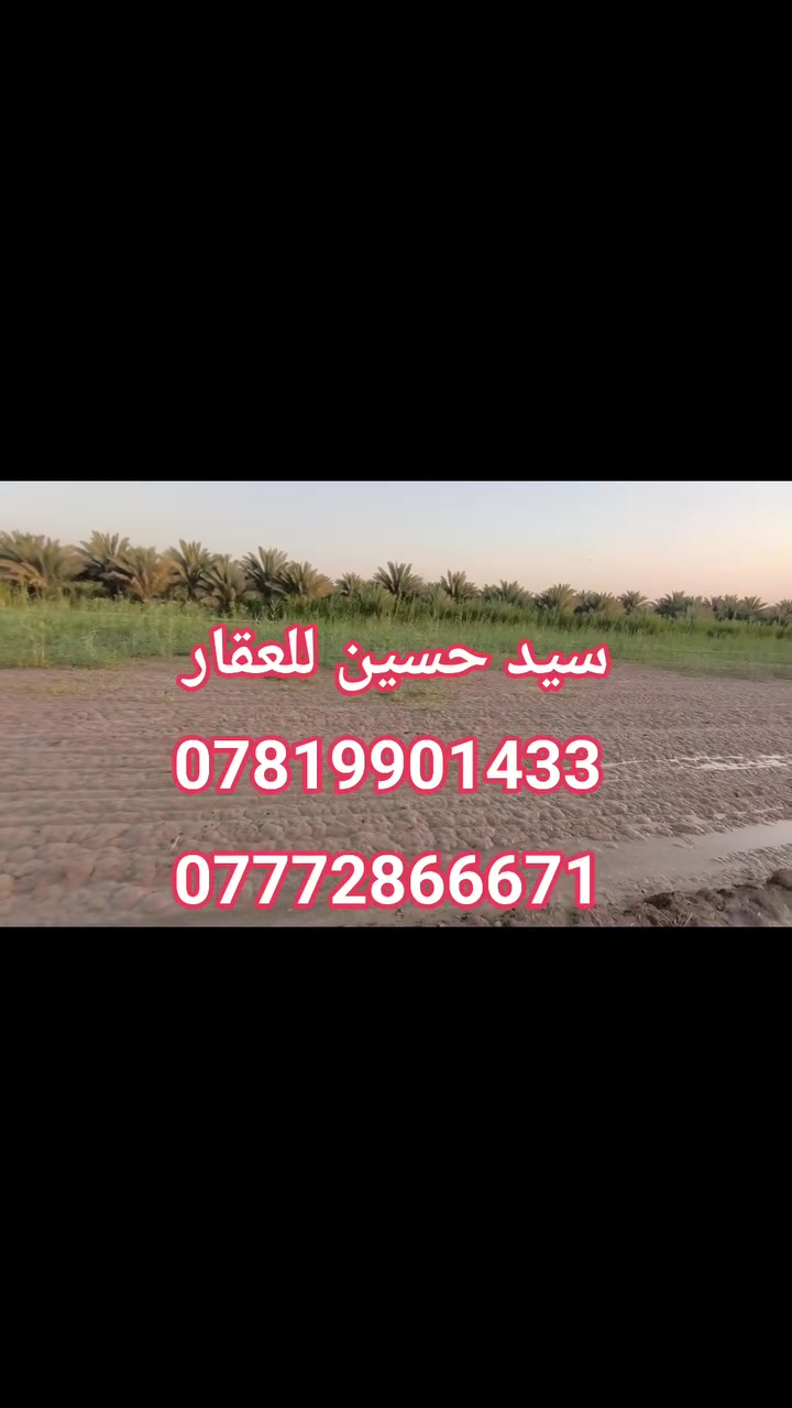 #ارض_زراعيه_للبيع_داخل_كربلاء
#ثلاث_دوانم طابو زراعي سند25 تحويل أسهم مباشرةً 
#واجهه كل دونم تقريباً 45 متر على شارع سبيس 8م
#طريق كربلاء طويريج عمود 260 منطقة نهر السلام 
#يبعد عن الشارع الرئيسي حوالي 2 كيلو او اقل 
                     🚩 سيد حسين 🚩
***********☎️      ***********☎️
