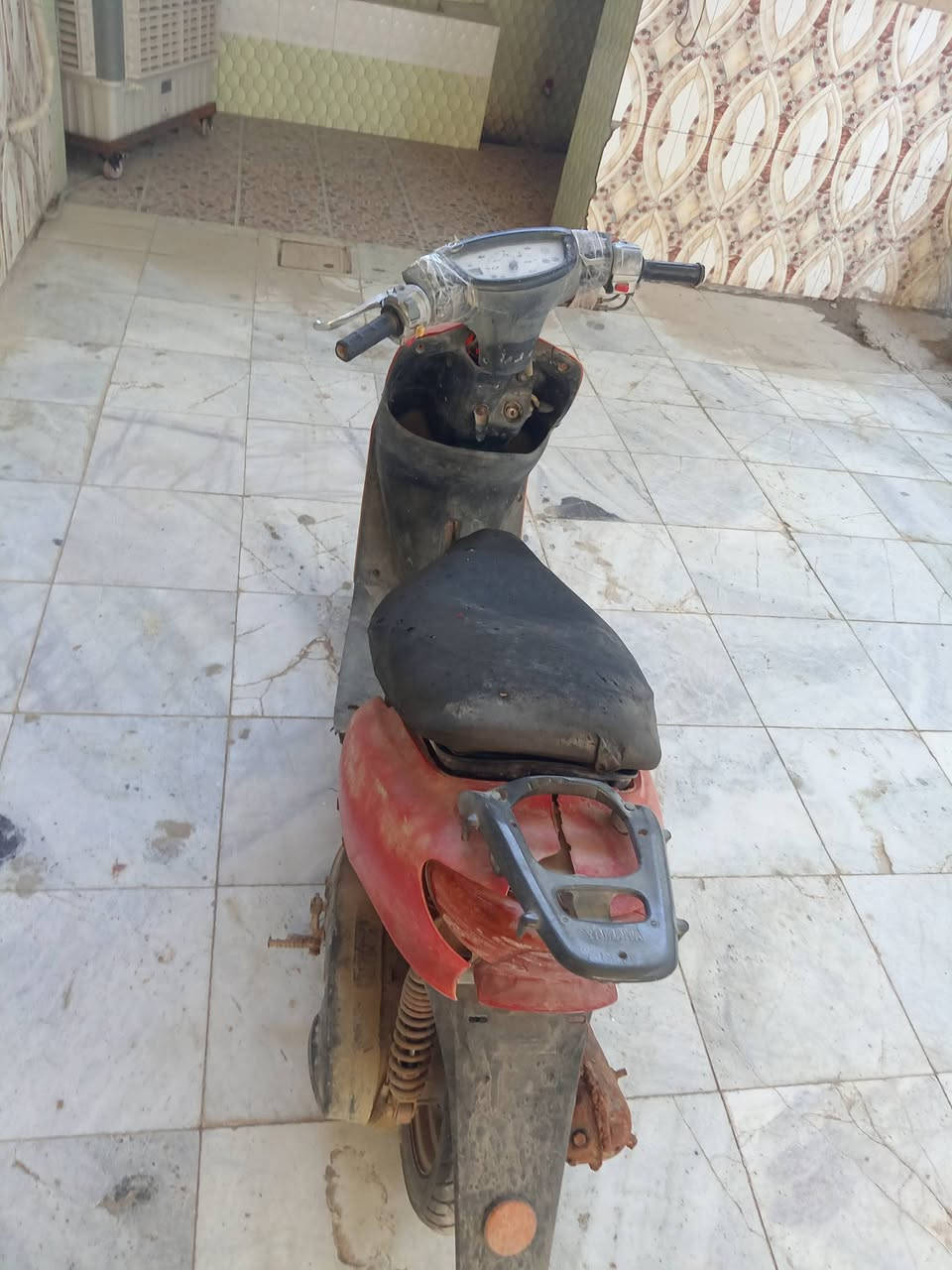 عصفوري للبيع كايمه قبل 5 ايام كامت ابيع عل هلوضعيه السعر 60 بني منصور ***********
