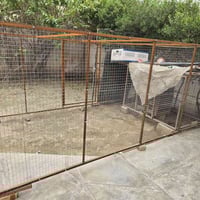 قفص حديد • ٤م×٢م×١٫٥م • سيم هيسكو