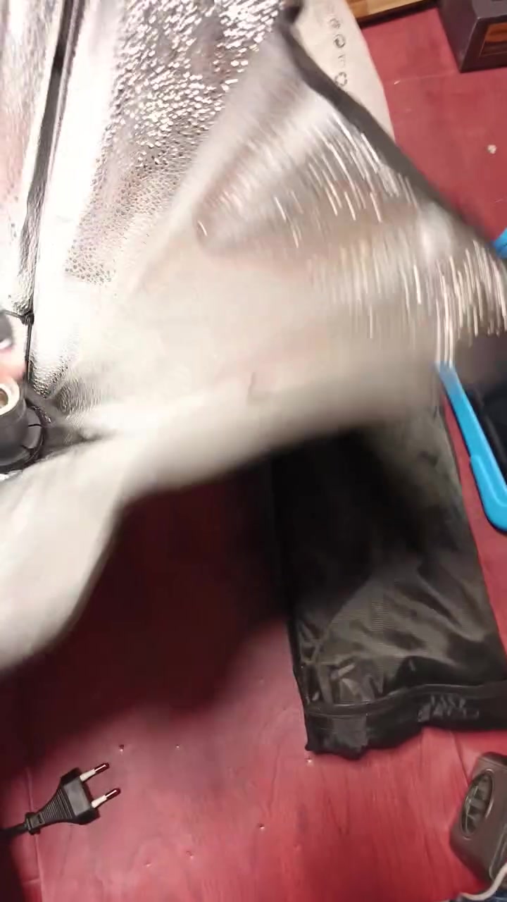 سوفت بوكس عدد٢ كامل ملحقات


**إذا كنت صاحب هذا الإعلان وتريد حذفه لأي سبب، رجاءا أرسل رسالة إلى الدعم الفني**