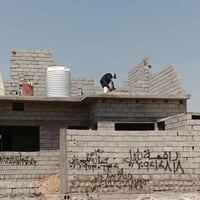 الصياده الجديده • ٢٠٠م • طابو زراعي