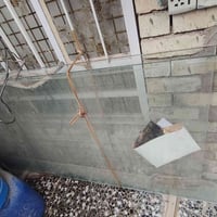 خزانة زجاج • زجاج ثقيل • نظيفة