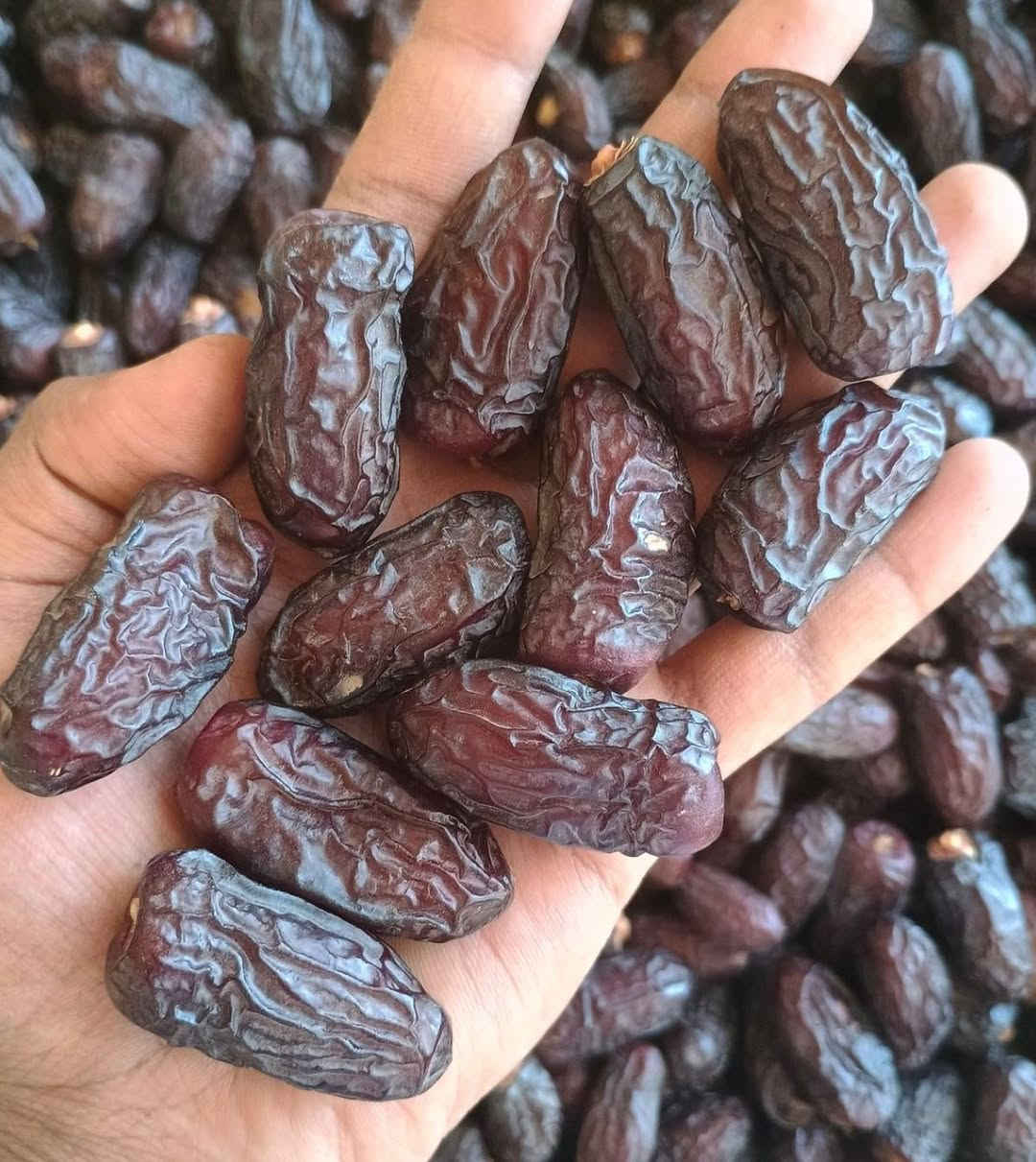 تأخرنا عليكم زبائنا ومتابعينا الغالين 😍 
كلششششي وفرنا الكم داخل فروعنا وتازة ❤️ 
كل انواع التمور 🌴
كل انواع الگيمر عرب 🤍
كل انواع الاجبان 🧀 واللبن 🥛
كل انواع المربى 🍓طبيعي ودايت
كل انواع العسل الطبيعي 🍯 
كل انواع الطرشي والمخللات 🥒
كل انواع الزيتون 🫒
دبس والراشي الاصلي بس 🎃
وأيتم جديد ورهيب السجق التازة 🫐طبيعي ودايت 

اتصل يوصلك للباب 🚗***********
لو تتفضل تنورنا 🌚 بالفرعين 
الفرع الاول الغربي مقابيل مطعم زعفران .
الفرع الثاني تقاطع ال باني مجاور كباب حسوني .
