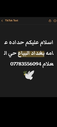 جعفر الحداد • بغداد البياع • حي العلاّم
