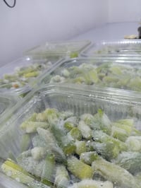 بانية عراقية • مجمدة • حلة