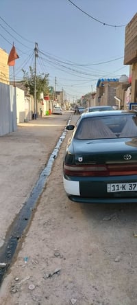 شيزر • ١٩٩٣ • رقم إنكليزي