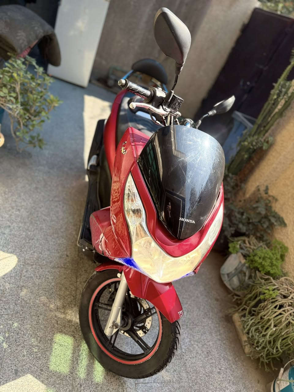 السلام عليكم pcx للبيع
موديل 16 ياباني JF مكينة 125 cc  المواصفات حساس ازدحام  و ستان كهربائي 

الدراجة نظيفة لكن بيها بعض النقوصات مثل الكفرات كم كسر بيهن وحساس الازدحام ميشتغل الدكمة بيها قطع ابيع فقط كفالة مكينة ممفتوحة السعر مليون بيها مجال بسيط العنوان الشعب حي اور ***********
