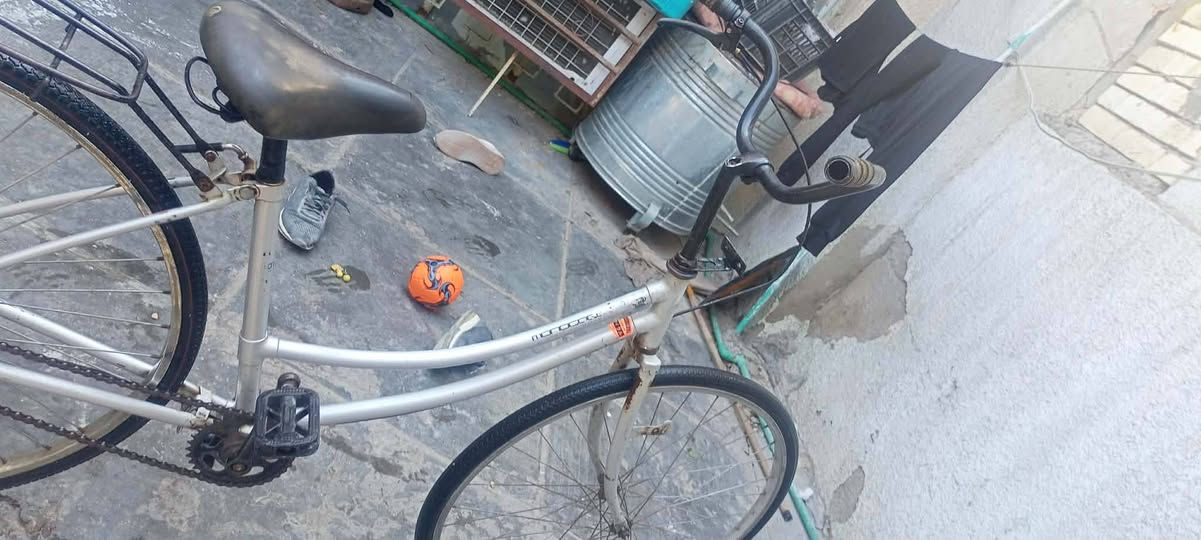 السلام عليكم بايسكل بناتي حجم 27 البايسكل ريشه وما بيها اي شيء بالبيع المكان العبيديس سعر 25 المكان العبيدي


**إذا كنت صاحب هذا الإعلان وتريد حذفه لأي سبب، رجاءا أرسل رسالة إلى الدعم الفني**