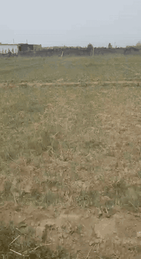 السلام عليكم      للبيع
أرض زراعيه بستان  طابو 5دونم +عقد 9دونم يتوفر فيها ماء كهرباء دار سكنيه مساحتها 200م منطقة برينج في العزيزيه تبعد عن نهر دجله أقل من 400متر  للاستفسار الإتصال على الرقم ***********
