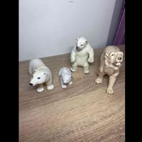 دببة قطبية • اصلية • توصيل