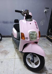 سكنس جبلي • ماكس بوليس • ٤٩