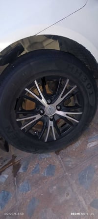 تخم ويل كب  #حجم١٤ ٠٧٧٢٢٧٠١٧٦٠ سعر ١٥٠