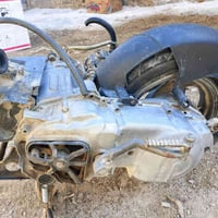 فراشة • كلجات • تاير كور