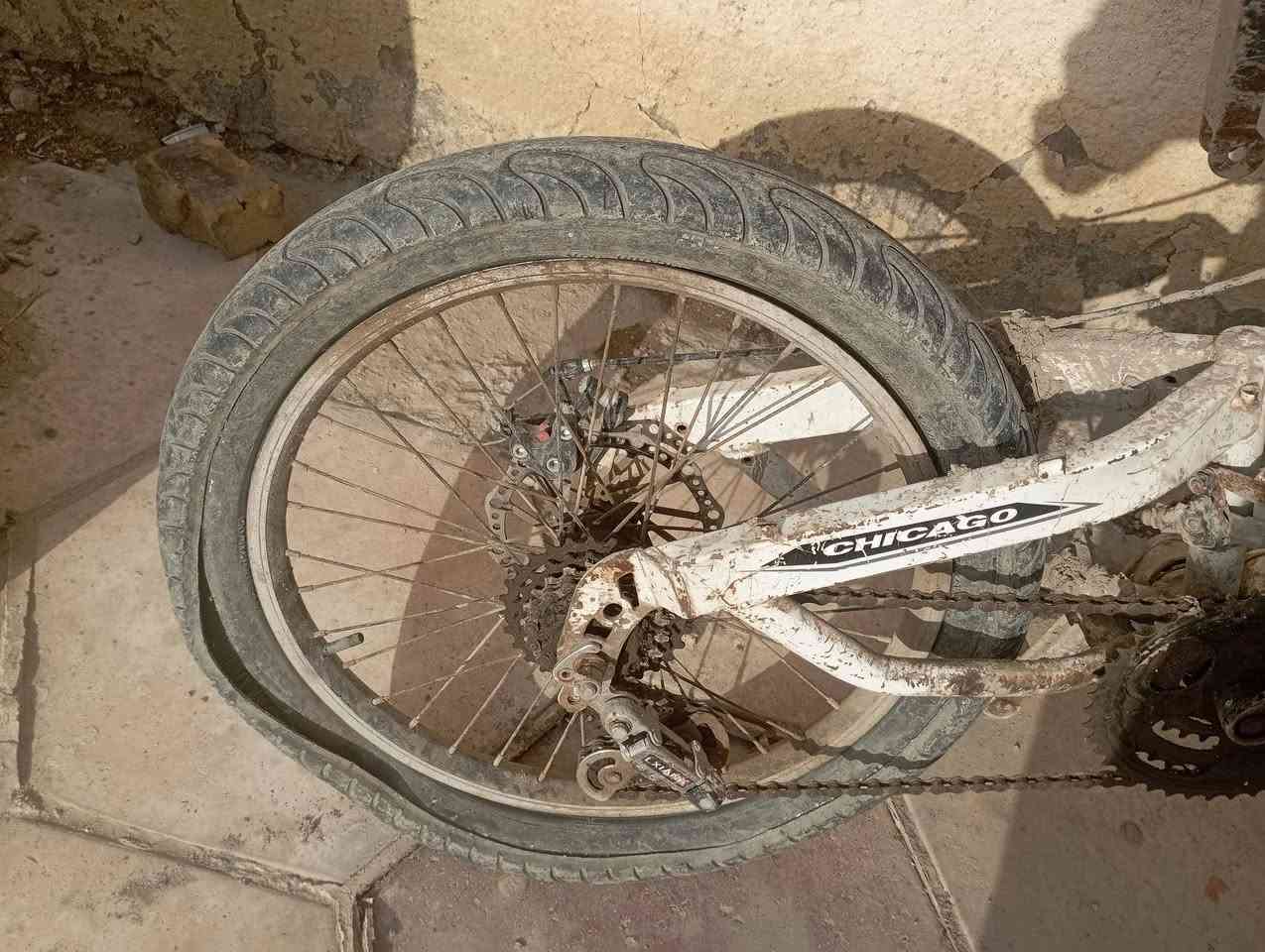 السلام عليكم باسكل كوبرا  عملاق للكبار و الصغار حجم 22 ثلاثي الدبلات الباسكل مثل ما موضح بل صوره  نضيف فقط التاير الخلفي طاك مكاني قضاء الشامية الشراي يجي خاص وبي خير ويدلل


**إذا كنت صاحب هذا الإعلان وتريد حذفه لأي سبب، رجاءا أرسل رسالة إلى الدعم الفني**