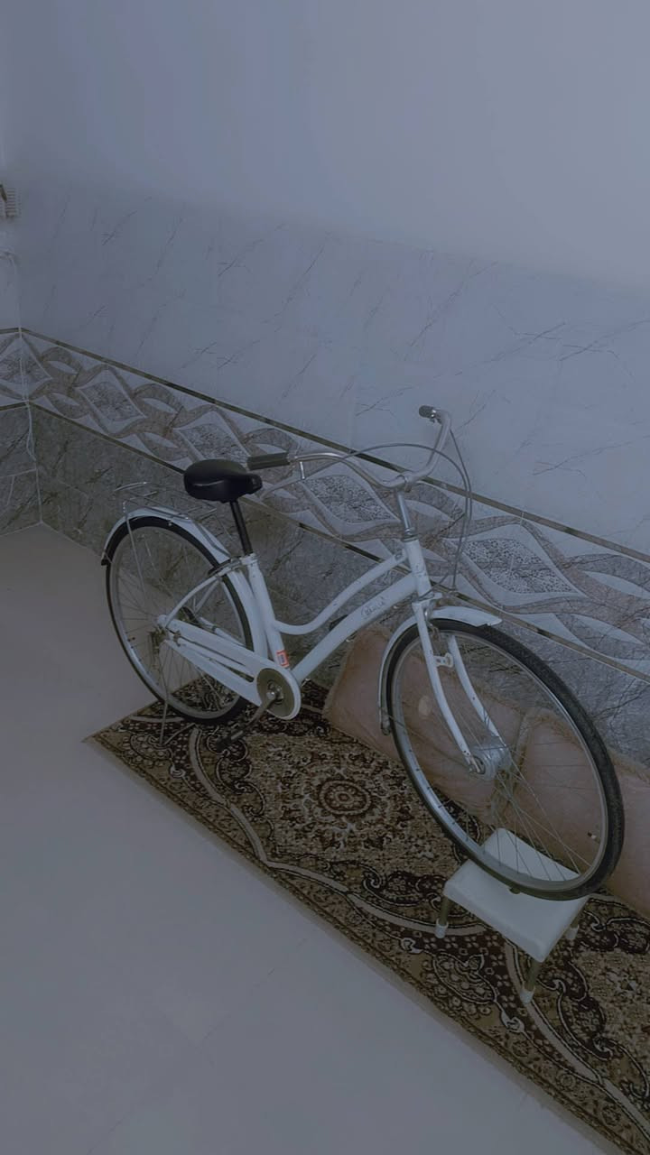 بايسكل للبيع 110 بمجال


**إذا كنت صاحب هذا الإعلان وتريد حذفه لأي سبب، رجاءا أرسل رسالة إلى الدعم الفني**