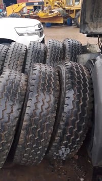 12تاک تایەی ڕێوی کامل بۆفرۆش07719710220