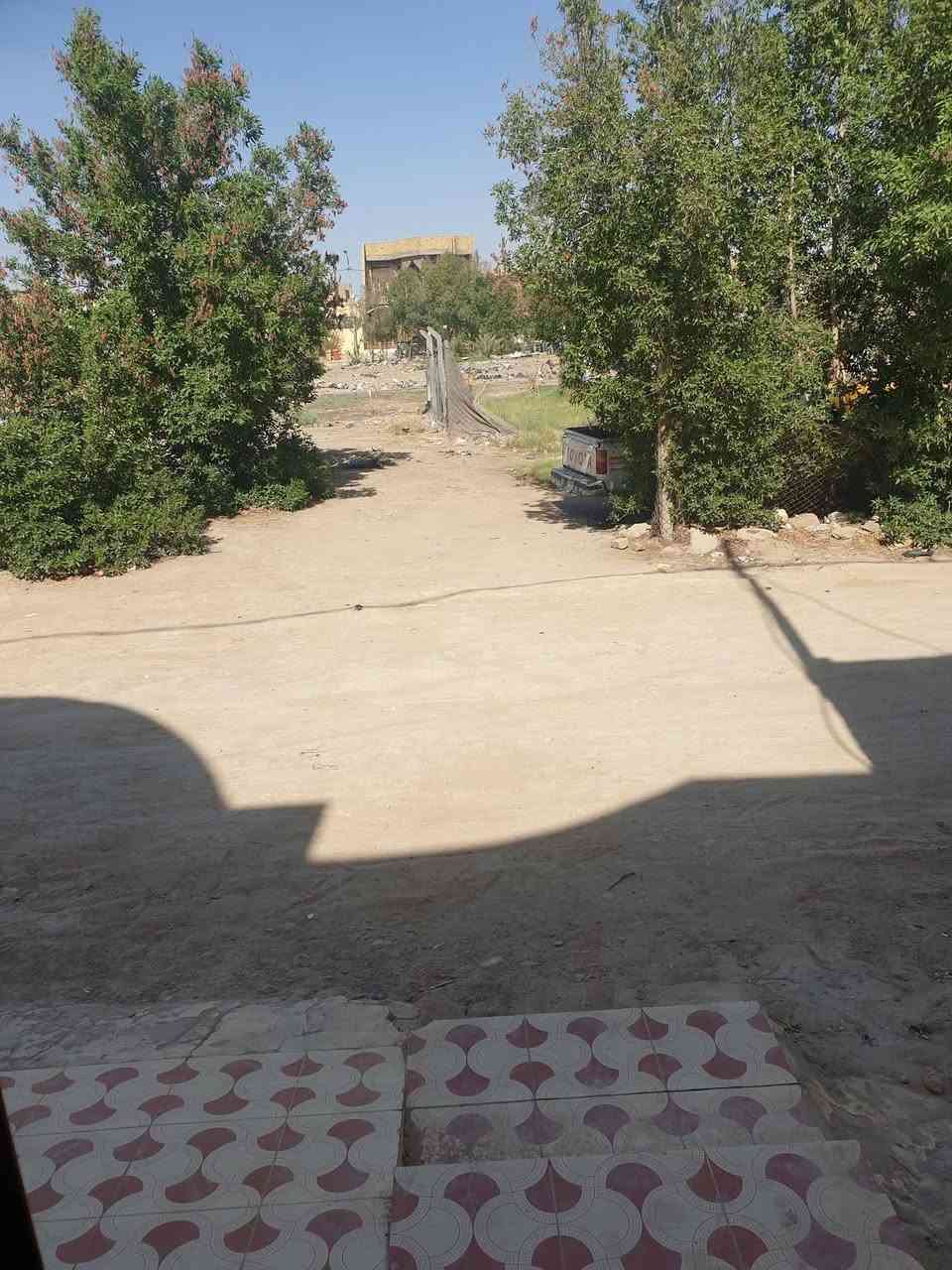 سلام عليكم بيت 200 متر طابو صرف كونكريت مسلح باسمي حر مامطلوب يباع مع الاثاث بالكامل ثاني يوم ابصملك( قضاء عفك )حي الشرطه قريب على المدارس الصينيه مقابيلة منتزة يم حسينية الرحمن للاستفسار خاص او واتساب على الرقم ***********

