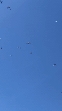 السلام عليكم اخوان حمام طيب جسم ونضافه ولوت الله شاهد بالهوه العالي كلهن يكعدن بيهن مشاغل وبيهن ملموم وميزه . هاذ رقمي ‭0788 298 8428‬ وبخدمتكم  مكاني البصرة قرب حي الزهراء
