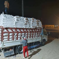 تيوته راس الثور للبيع رقم التفاصيل تصل وتعرف 07800149225