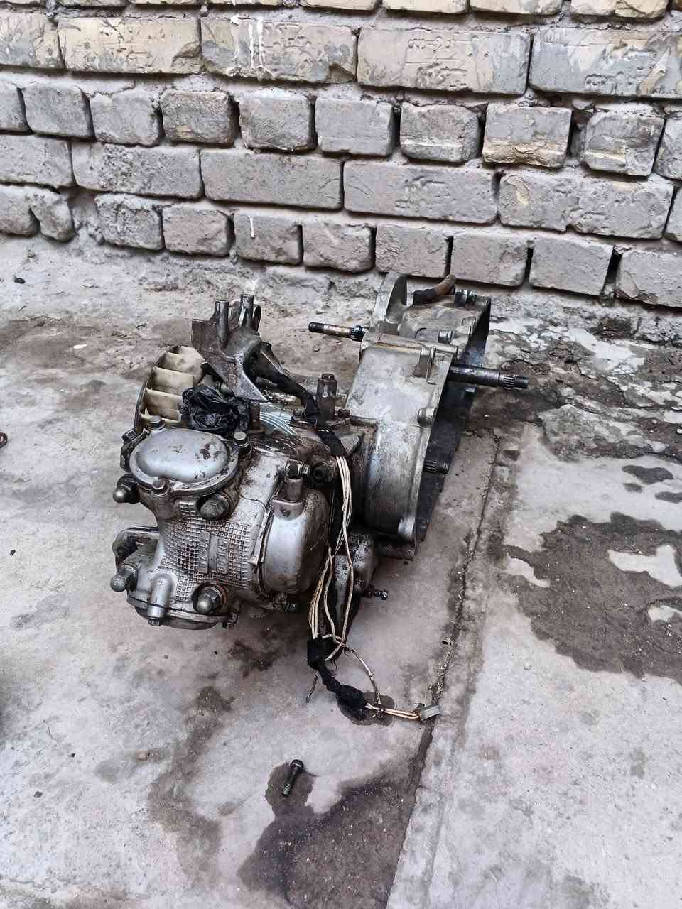 اسعار كله جوه للسوك عرض قوي عليهن يولد غراض فقط سكنس فحل نثيه شتريد خاص او واتساب كله جوه للسوك *********** كله عندي توصيل فقط لمكينه ماكدر اوصلها مكاني بغداد مدينة
