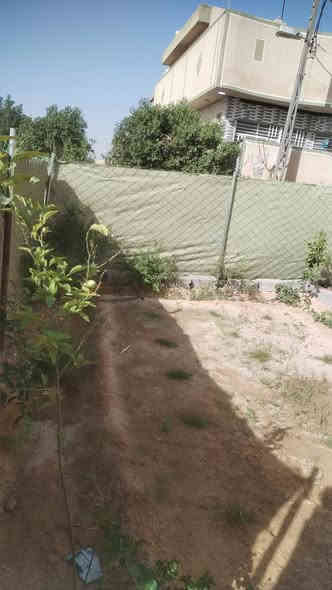 يالله
بيت للبيع المساحة 100م النزال 7والواجهة 14وراء جامعة فريحة بحي التركمان بناء طابوق طابقين اطابق الثاني ماكامل يعني مامصبو ب هيكل غرفتين واستقبال وصالة ومطبغ ومنور وصحيات سند 25البيت ينسكن بي محتاج شغل قليل المنطقه سكنية كامل يعني مثل المجمع ويتوفركل الخدمات اسواق مخابز محلاات مخابز صيدلية شوارع عريضة خدمات ماء كهرباء مولدخط ذهبي مجاري يبعد عن الامام 4كيلو الي حاب يتصل على الرقم ***********رجان الي موشاري رجان لايتصل مكلفة بنشر لااقصاد يباع
