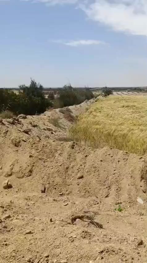 قطعه ارض 14فدان عقد البدائي بينها وبين الصحراوي الغربي 5 كيلو وبينها وبين القره 3كيلو ارض مزروعه بالكامل قمح ري نيلي غمر فيها استراحه و عنبر فراخ وبرج حمام سعر الفدان 130الف قابل للتفاوض لتواصل 01044446585


**إذا كنت صاحب هذا الإعلان وتريد حذفه لأي سبب، رجاءا أرسل رسالة إلى الدعم الفني**