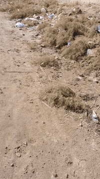 يالله قطعه للبيع مساحه ٢٠٠متر الرشيده فرع المي اروه نوع العقار سند ٢٥ خدمات موجوده سعره امناسب رقم التلفون ***********
