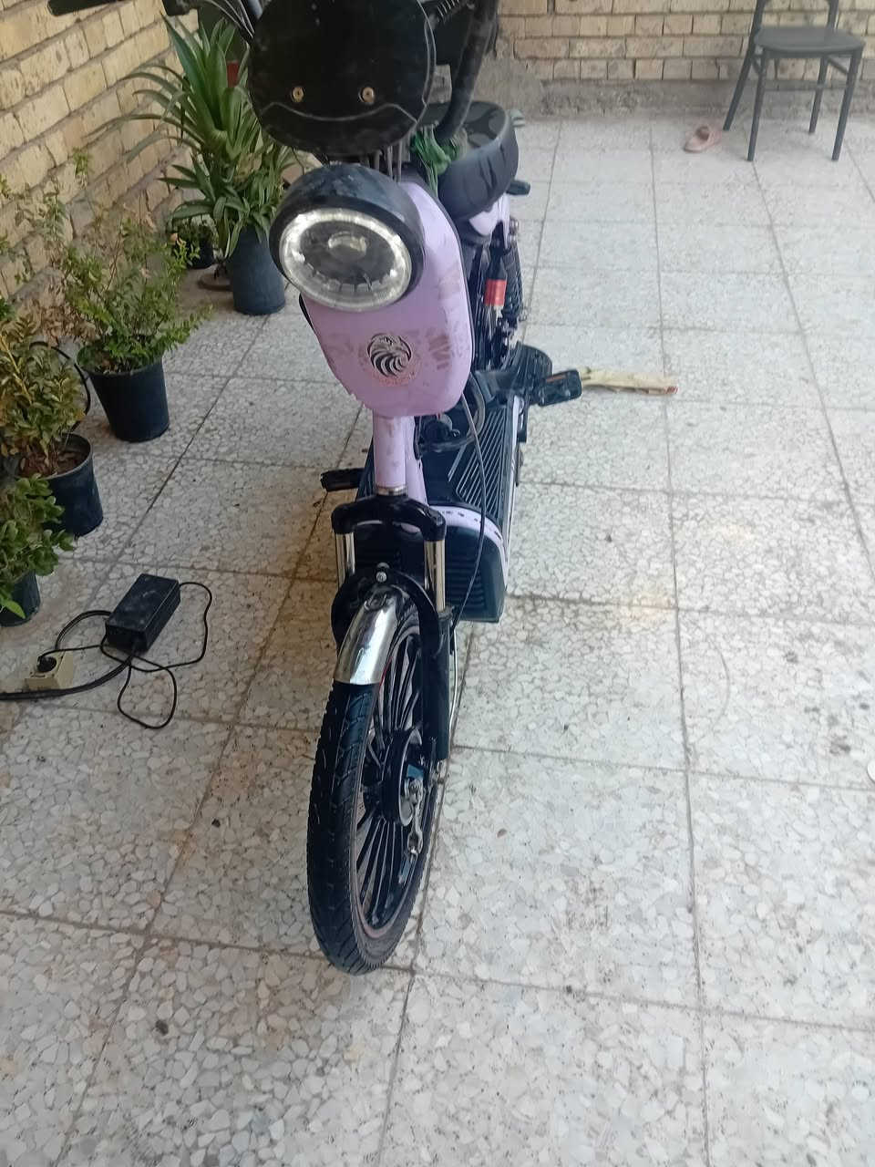البيع مكانك بحي البتول السعر خاص


**إذا كنت صاحب هذا الإعلان وتريد حذفه لأي سبب، رجاءا أرسل رسالة إلى الدعم الفني**