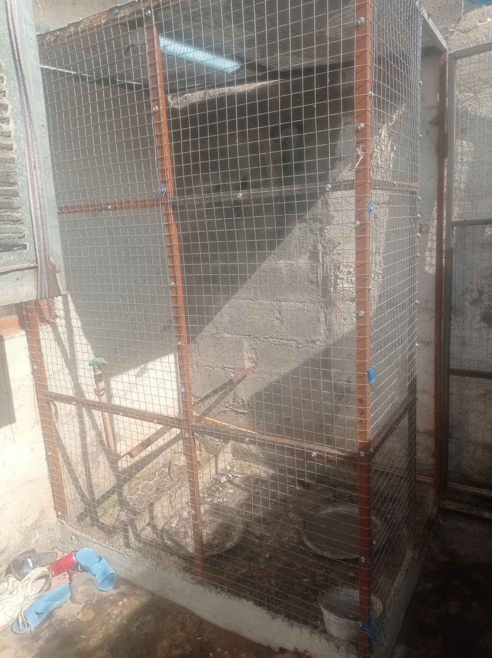 قفص شغل حيل حلو طول مترين وعرض متر ونص ورتفاع مترين السعر 50


**إذا كنت صاحب هذا الإعلان وتريد حذفه لأي سبب، رجاءا أرسل رسالة إلى الدعم الفني**