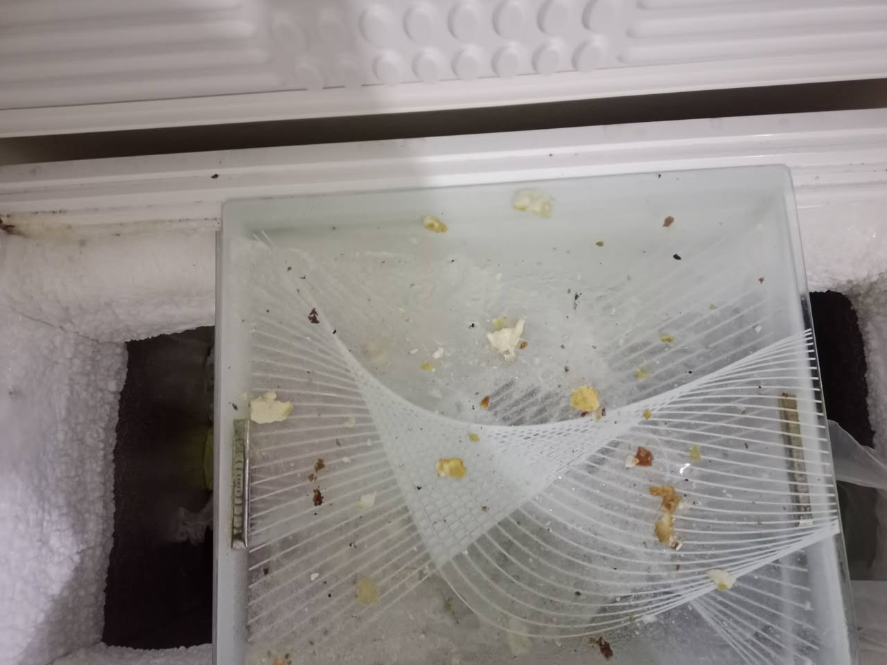 السلام عليكم عدنه مجمده للبيع من ماركت جبسون نضيفه كلش وعل فحص المحتاجها يخابرني على هاذه الرقم ***********
