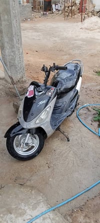 ماكس منغولي • نضيفه • كفاله