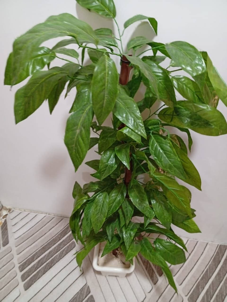 لبيع اسعار مناسبه


**إذا كنت صاحب هذا الإعلان وتريد حذفه لأي سبب، رجاءا أرسل رسالة إلى الدعم الفني**