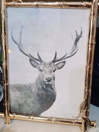 مجموعة امزون • طلب من امزون • اتصل بي