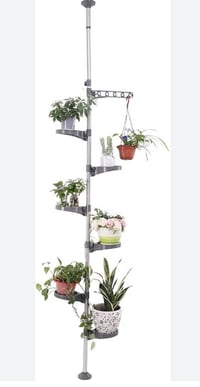 ديكور • مجموعة • كلهن