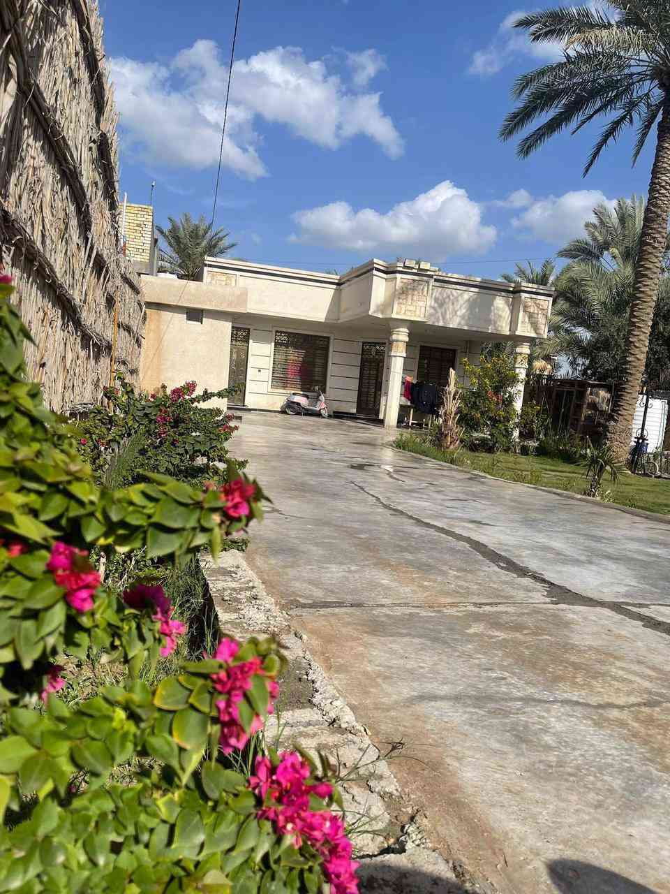 سلام عليكم
دار للبيع  🚞 

مساحه 550  متر واقع حال 850  متر واجه ١٨ متر طابو زراعي سند 25 عله طابو المحموديه بناء حديث ٣ غرف نوم حمامات  2 بناء سنه 2024 العنوان خلف بازين خانه حي الصفاء قرب حولي المحموديه تبليط الباب البيت مدرسه قريبه  ماء خطين +بير الاستفسار الاتصال صاحب البيت ***********
