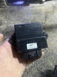 عقل سكنس جبلي للبيع 07744115498