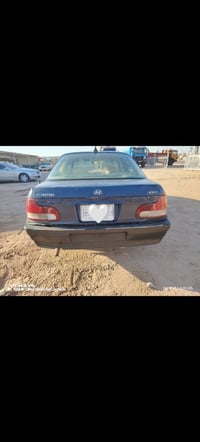 النترا • نجف حيدريه • تحتاج صبغه