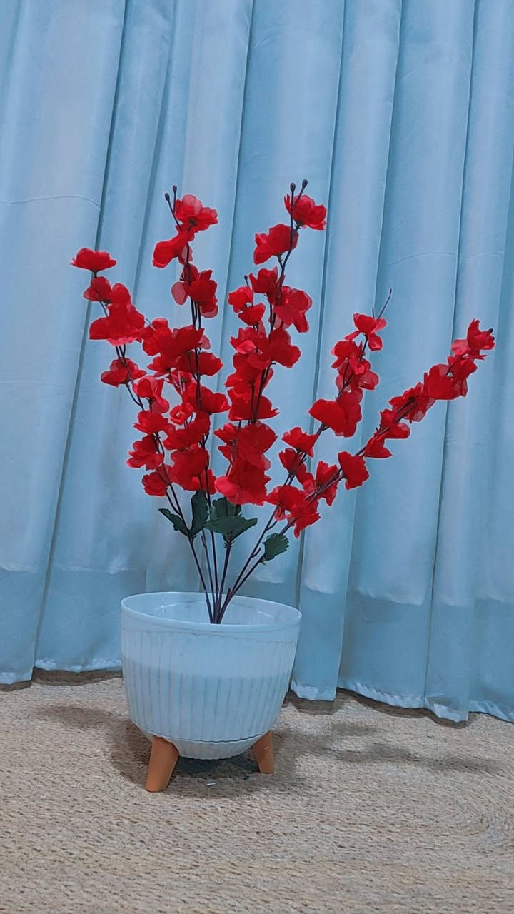 عرض خاص كل ٣ قطع ب ٢٥ والتوصيل مجاني 
للحجز والاستفسار مراسلة البيج 🥰@@


**إذا كنت صاحب هذا الإعلان وتريد حذفه لأي سبب، رجاءا أرسل رسالة إلى الدعم الفني**