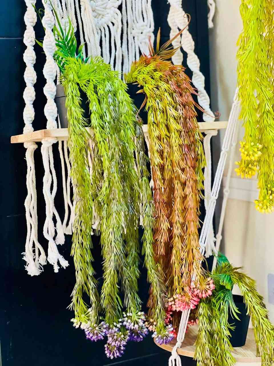 اغصان متدلي اكثر من موديلا 🎋☘️
اشكال وموديلات مختلفه  
عنوان المحل #واسط قضاء #النعمانيه 
 الشيشان الجديد الشارع الرابع
  محل الغيث للتسويق  محل الغيث للتسويق المنزلي


**إذا كنت صاحب هذا الإعلان وتريد حذفه لأي سبب، رجاءا أرسل رسالة إلى الدعم الفني**