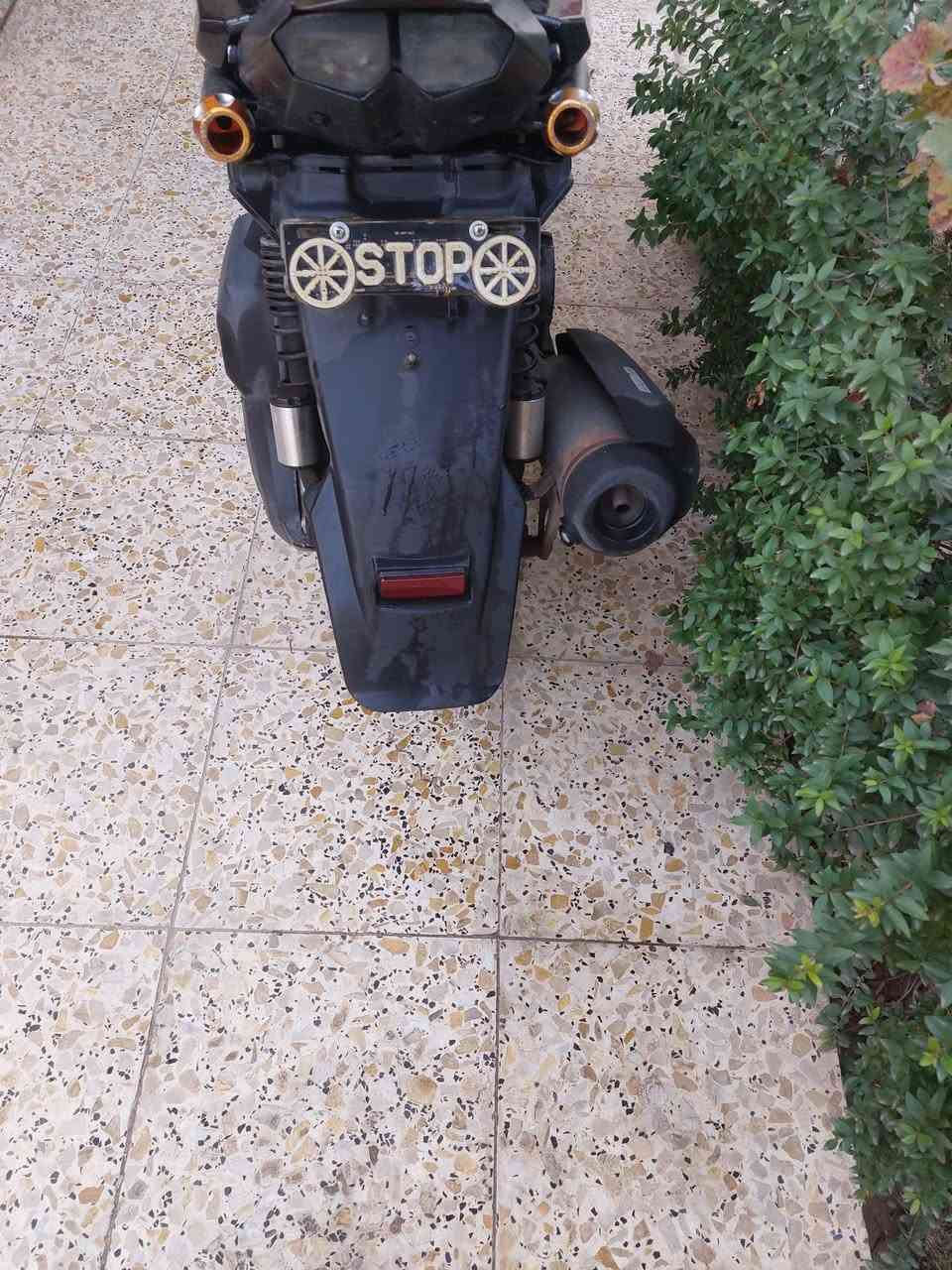 سكنز جبلي ماخذها رمبه نظيفه برغي مامفتوح
شارع حيفا *********** الوشم بلادي منها وبيها
