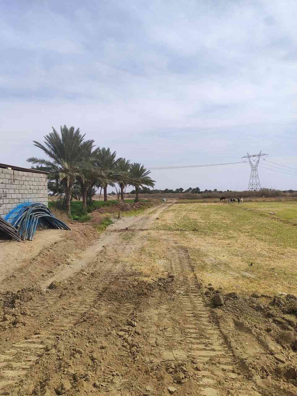 قطعه ارض للبيع
المساحه 4دونم 
الموقع بابل النيل سريديب 
عقد 117
تبعد عن شارع سريديب 75متر 
كافه الخدمات متوفره 
للاستفسار اكثر 
***********
