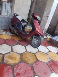 فراشه • بصره • مجال