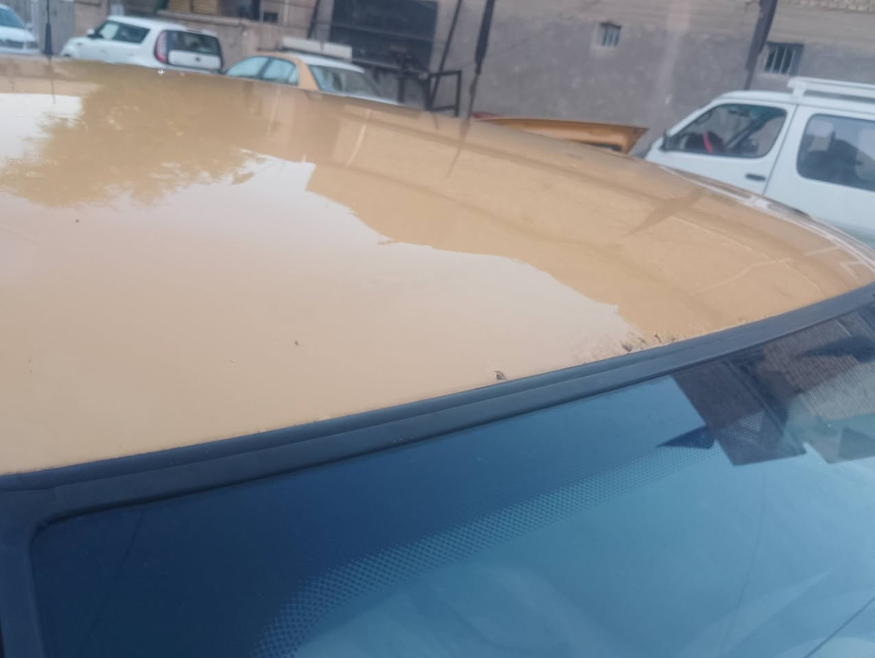 سلام عليكم سمند موديل 11   سعره 26 وبيه مجال 
تبريد شغال صدر جديد امامي وخلفي بيها صوت بل مكينه يعني يطغ سيارات مصفره هيه الغرامات رقم سيارات انكليزي بسمي تحويل ثاني يوم سنويه 29 الهزه الجديده  رقم إنجليزي مكاني بغداد مدينه الصدر قطاع 67 رقم الهاتف اني مكلف 

***********
