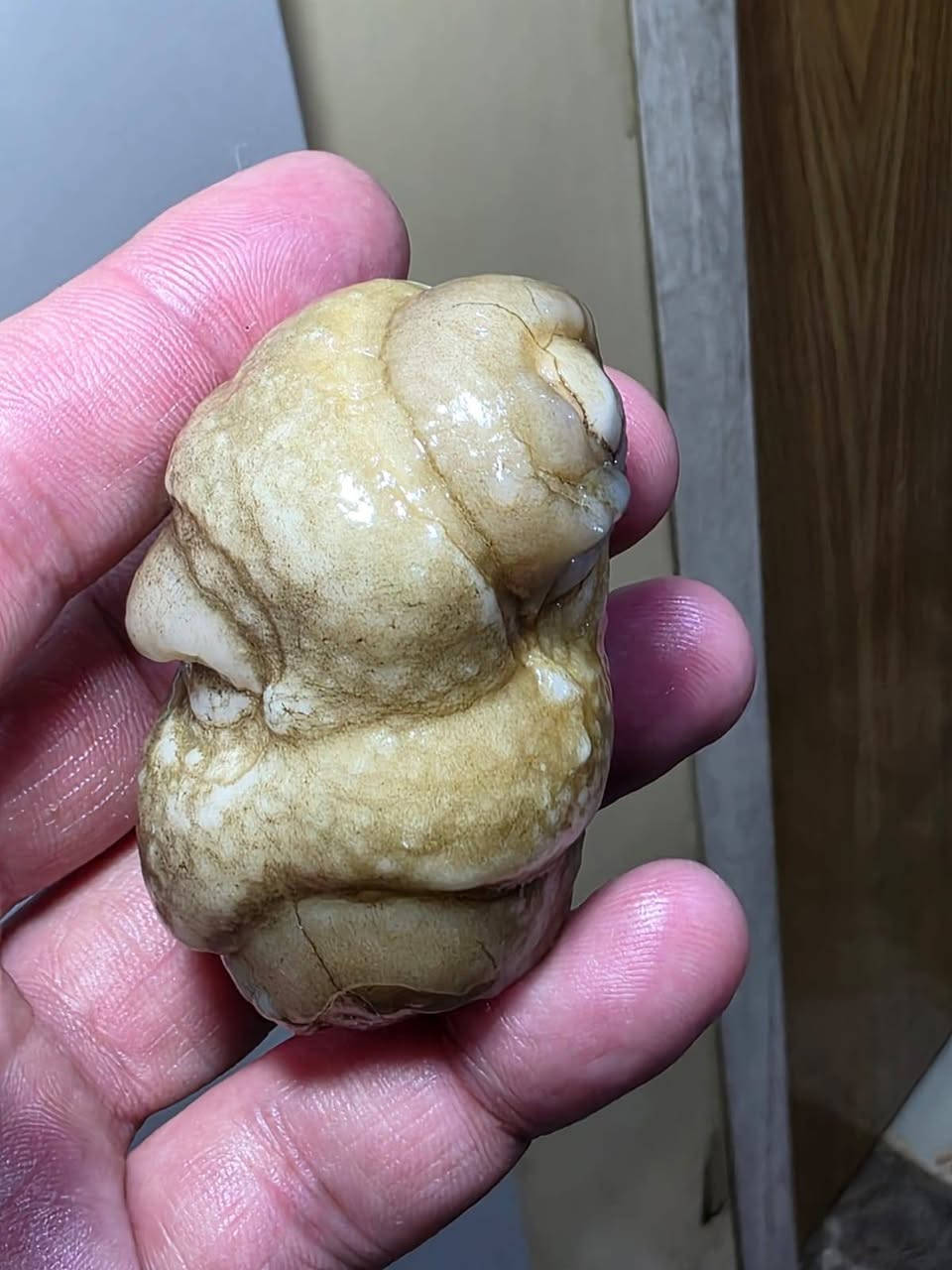 ميحتاج اشرح عنه حجرعطف  مصور رباني وجه كامل رباني مرعب مكشوف مناميا جوكر عام فول نار وشرار الحجر يسولف عنفسه جوكر عام تواصل وباقي تفاصيل خاص او واتساب ***********
